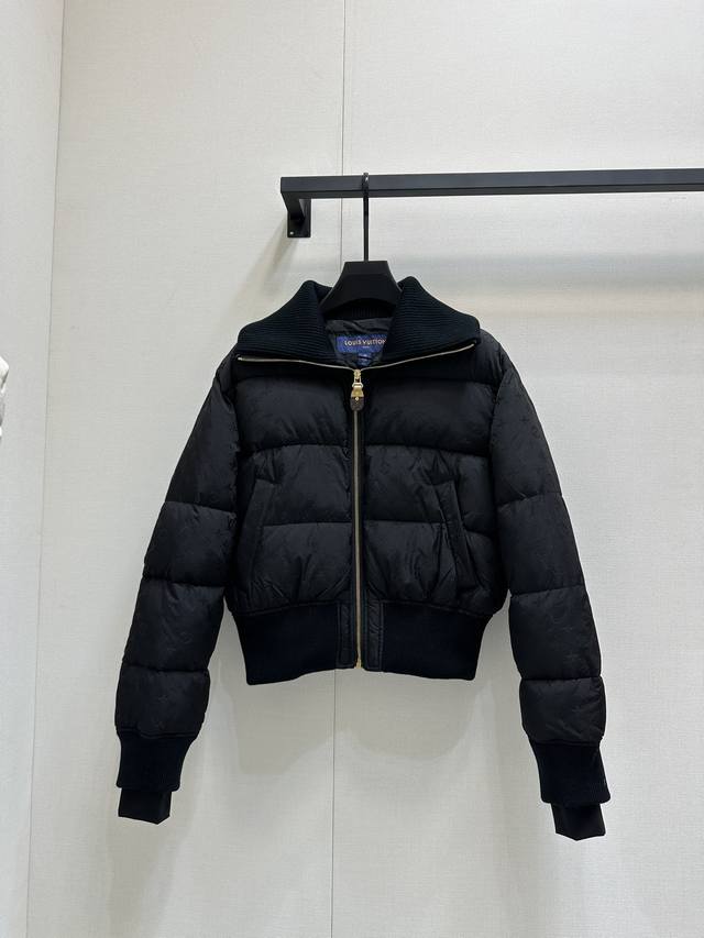 LV24Ss--秋冬最新款经典logo暗纹立领夹克 羽绒服外套 - 点击图像关闭